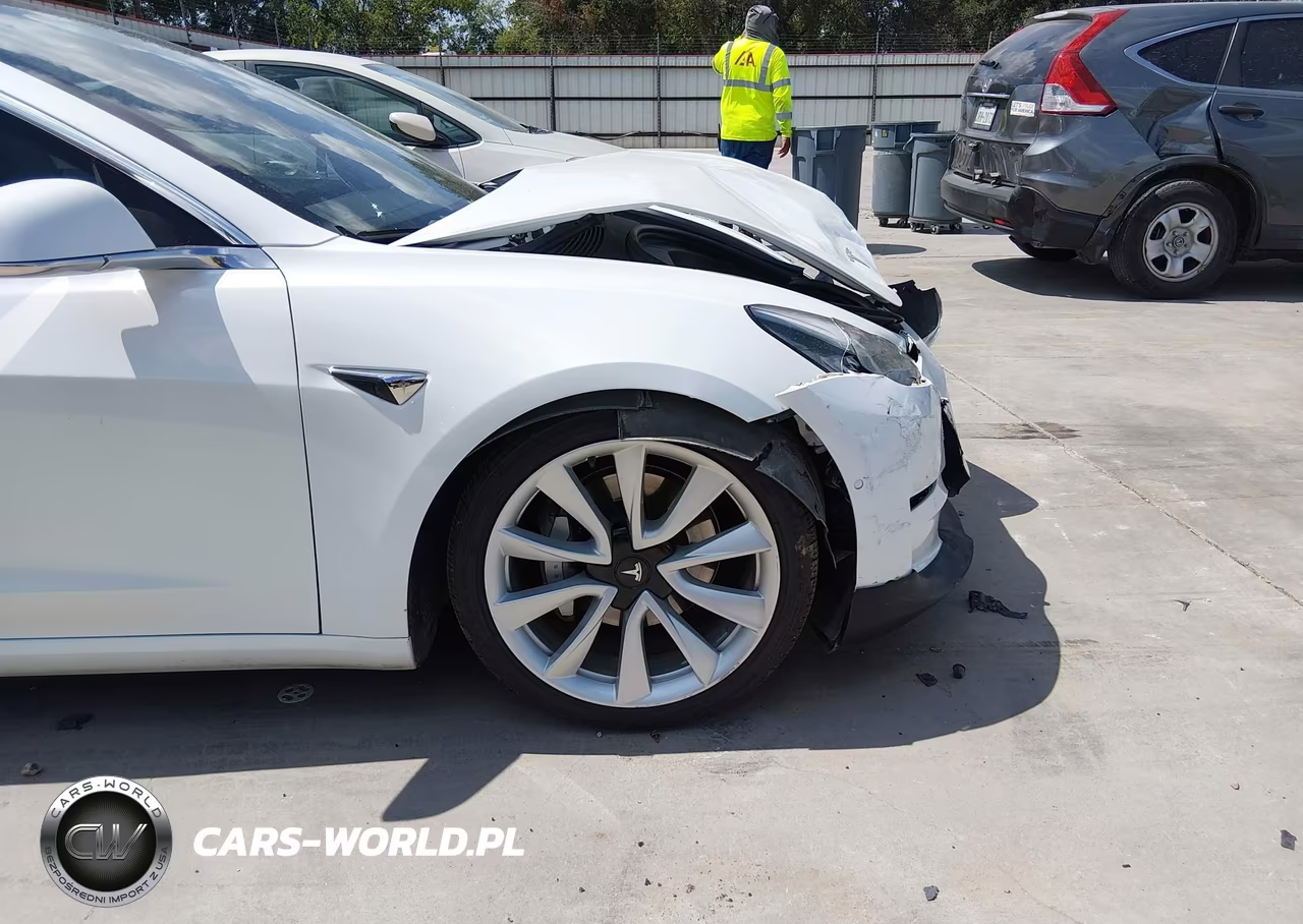 2019 Tesla Model 3 Long Range-Mid Range-Standard Range-Standard Range Plus VIN:5YJ3E1EA7KF482475 - 19