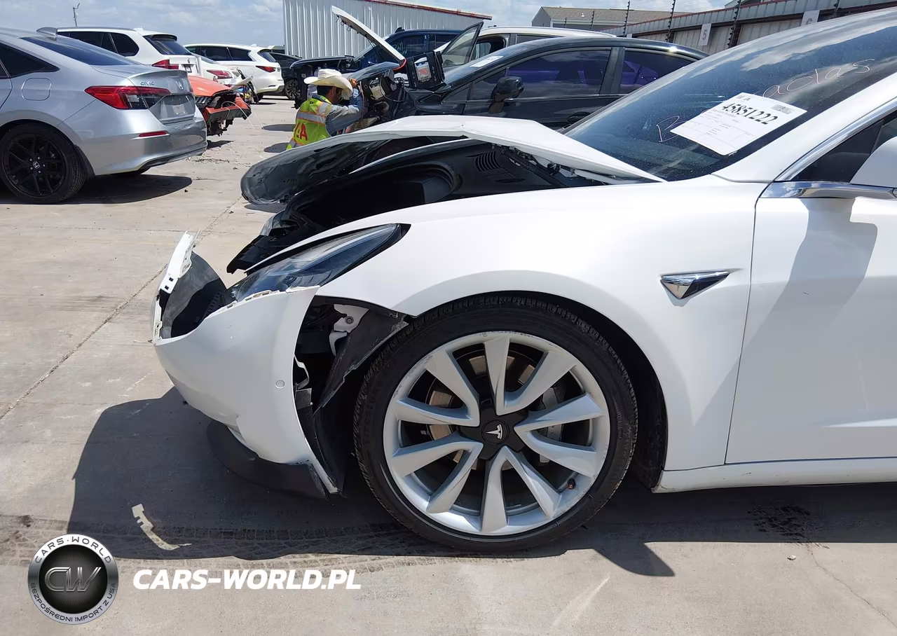 2019 Tesla Model 3 Long Range-Mid Range-Standard Range-Standard Range Plus VIN:5YJ3E1EA7KF482475 - 20