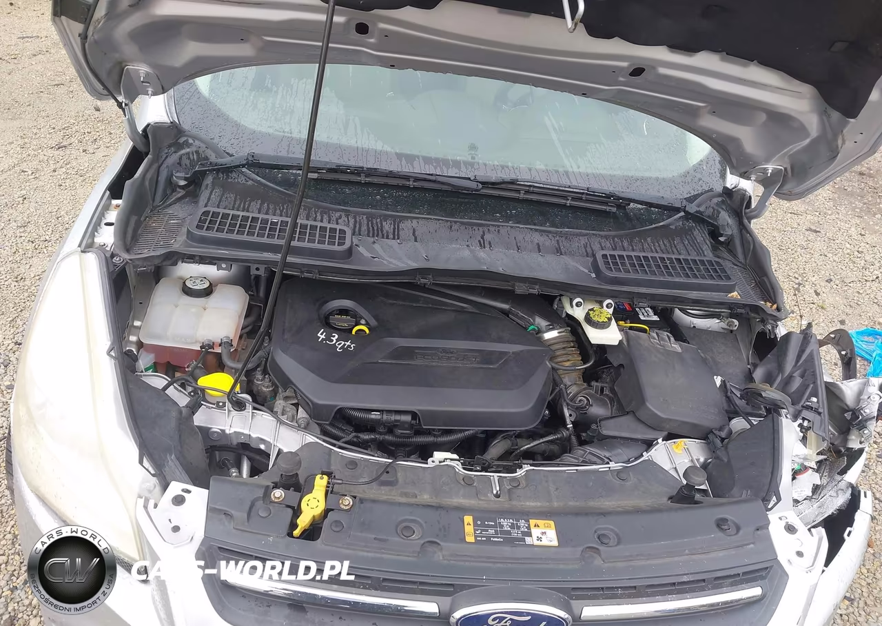 2014 Ford Escape Se VIN:1FMCU9GX4EUD64295 - 10