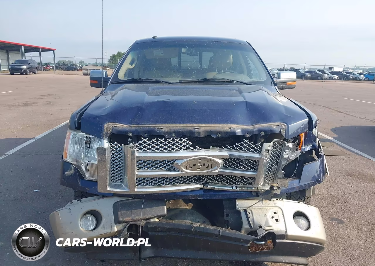 2010 Ford F-150 Fx4-Harley-Davidson-King Ranch-Lariat-Platinum-Xl-Xlt VIN:1FTFW1EV6AKA77190 - 12