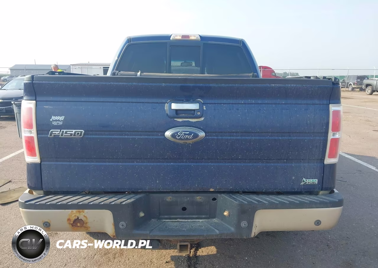 2010 Ford F-150 Fx4-Harley-Davidson-King Ranch-Lariat-Platinum-Xl-Xlt VIN:1FTFW1EV6AKA77190 - 16