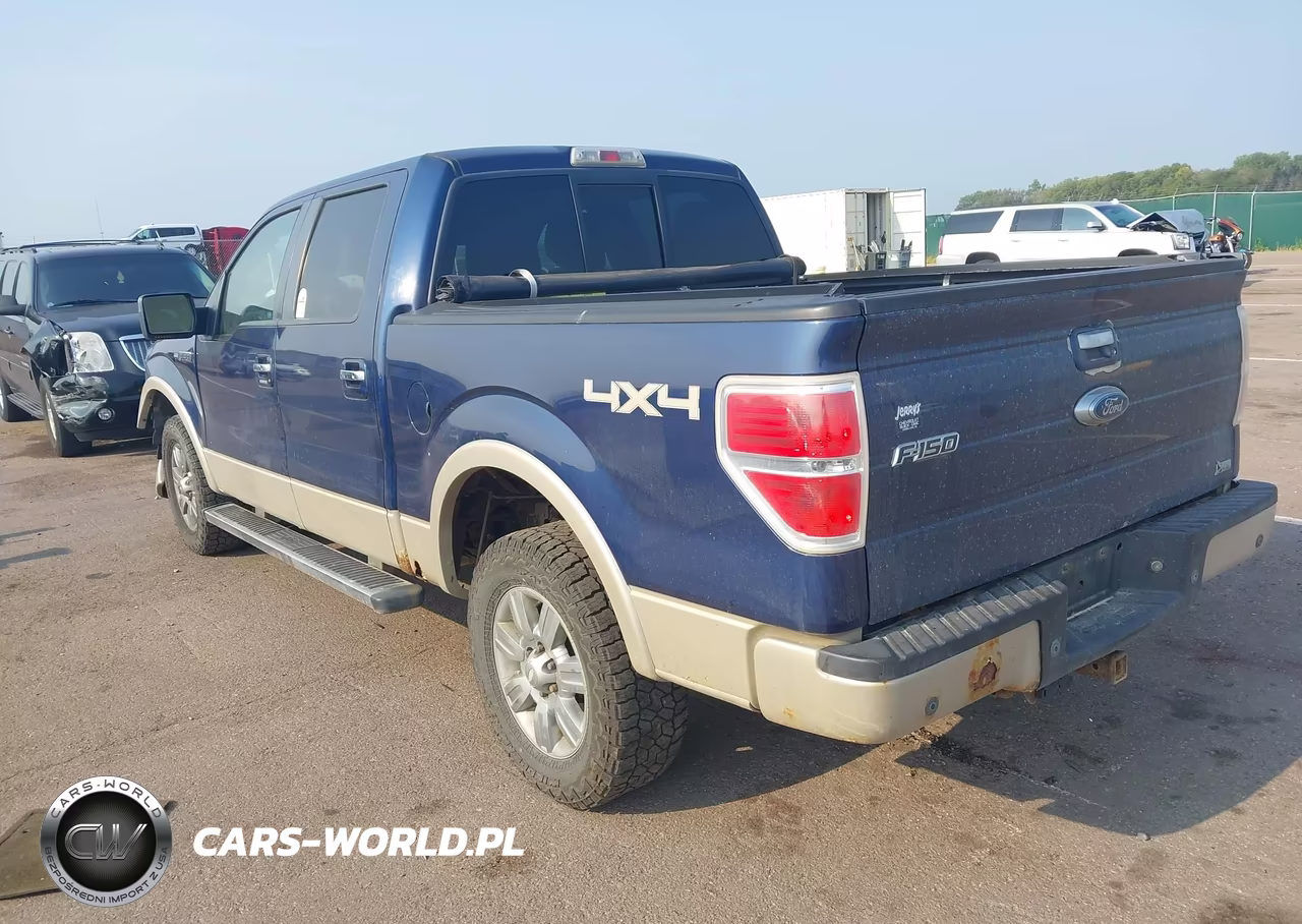 2010 Ford F-150 Fx4-Harley-Davidson-King Ranch-Lariat-Platinum-Xl-Xlt VIN:1FTFW1EV6AKA77190 - 3