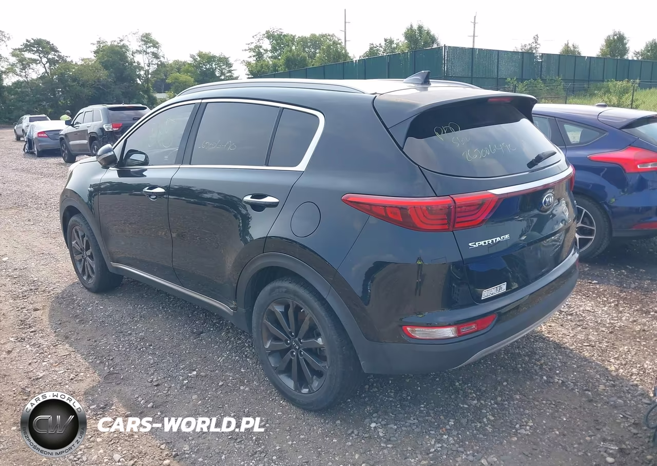 2019 Kia Sportage Ex VIN:KNDPNCAC4K7562973 - 3