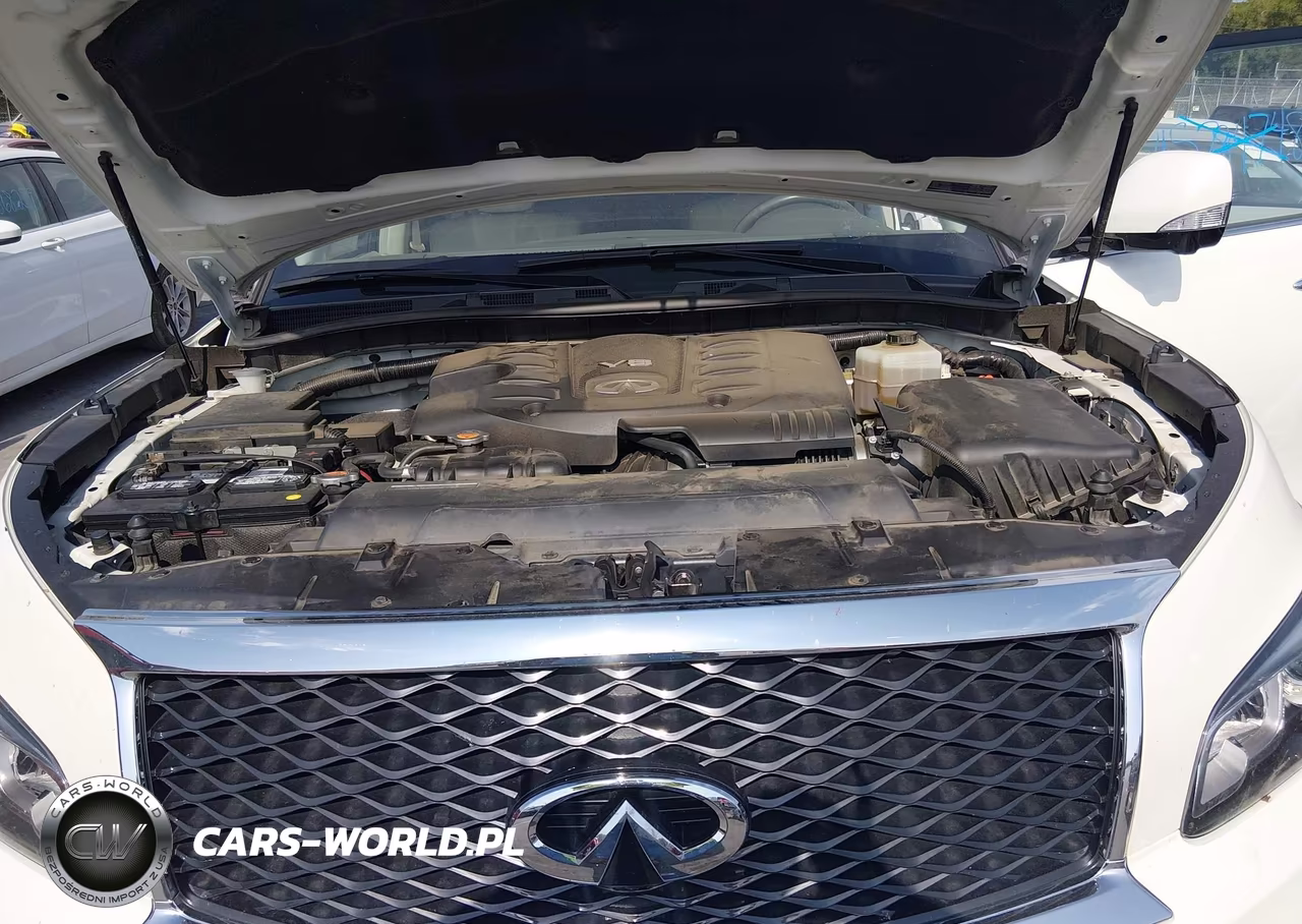 2017 Infiniti Qx80 VIN:JN8AZ2NF1H9642838 - 10