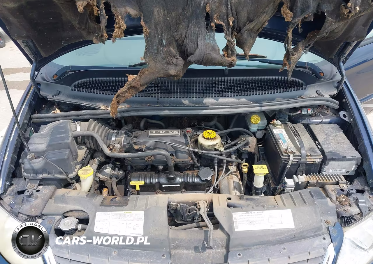 2003 Chrysler Town & Country VIN:2C8GP24R63R338865 - 10