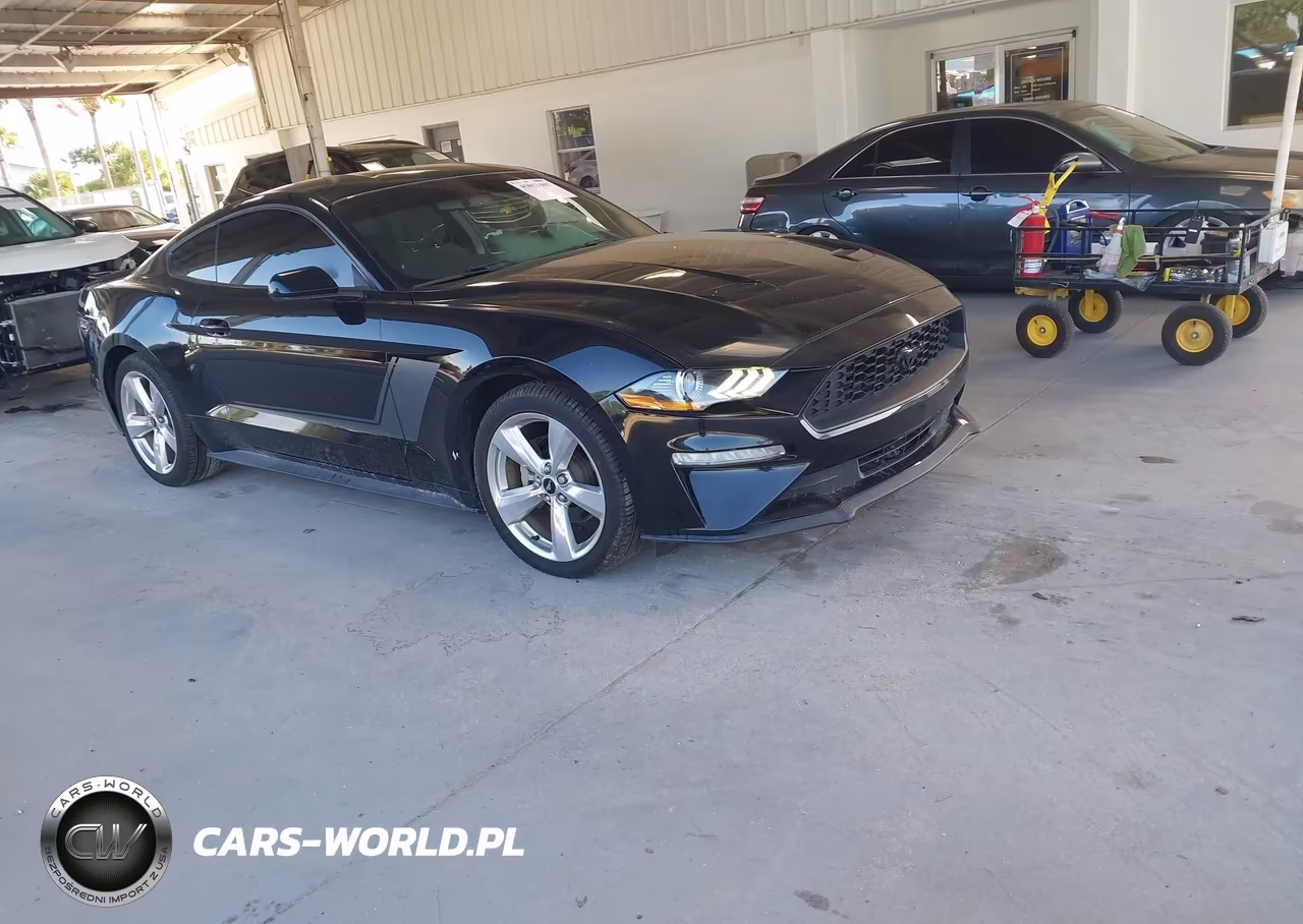 2019 Ford Mustang Ecoboost