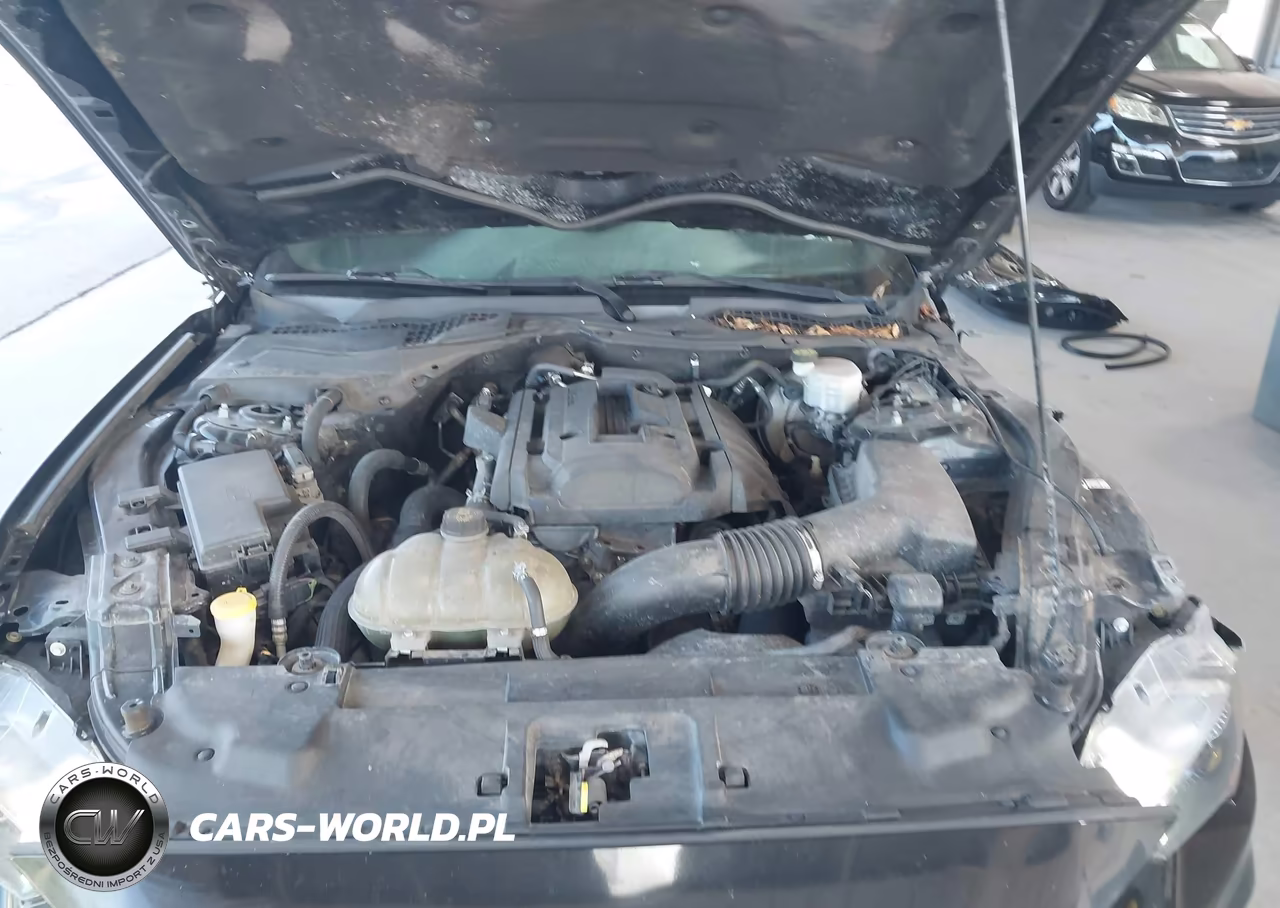 2019 Ford Mustang Ecoboost VIN:1FA6P8TH0K5142009 - 10