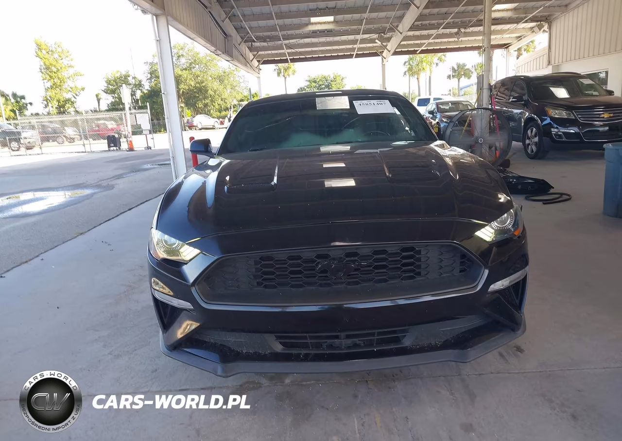 2019 Ford Mustang Ecoboost VIN:1FA6P8TH0K5142009 - 12
