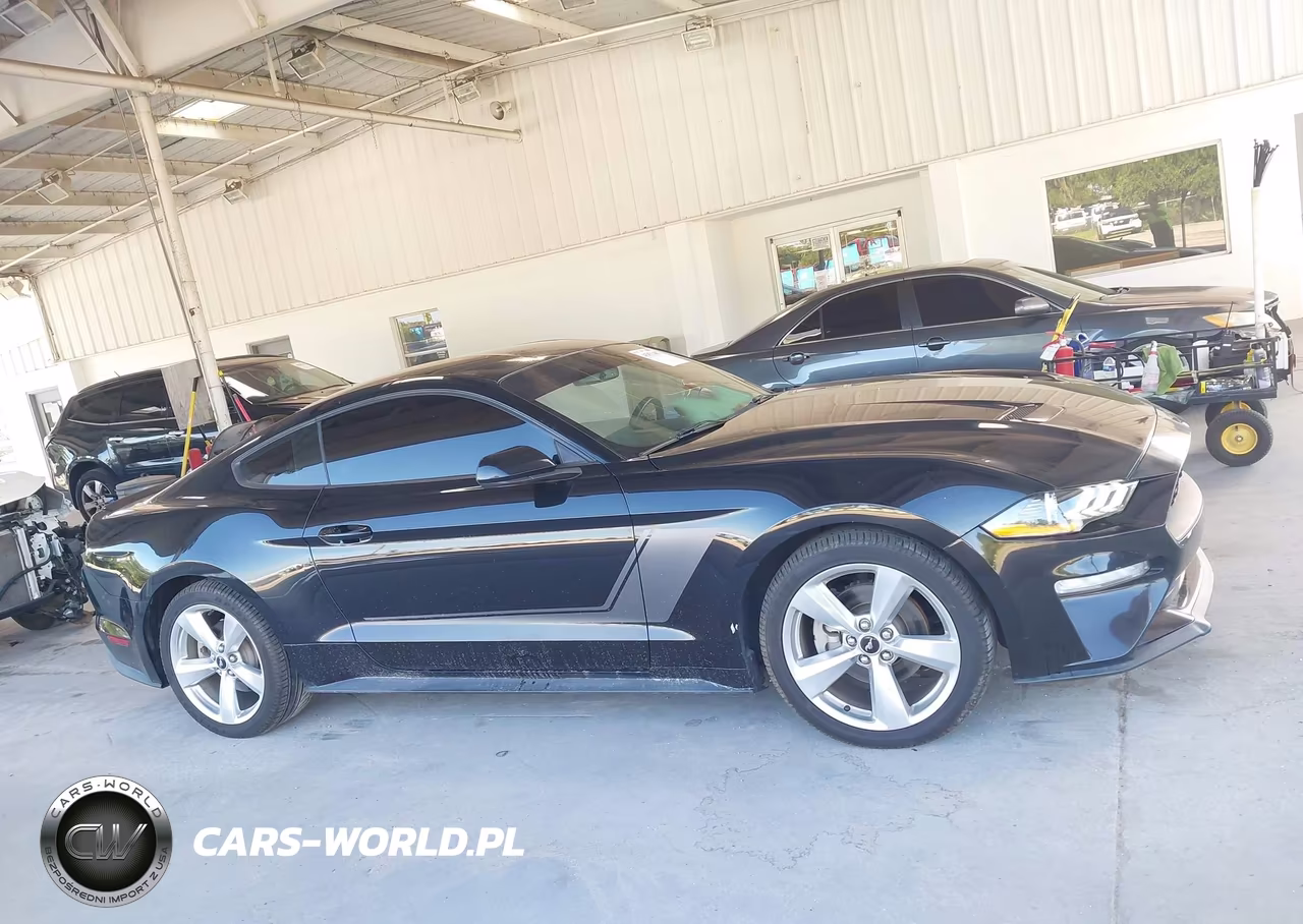 2019 Ford Mustang Ecoboost VIN:1FA6P8TH0K5142009 - 13