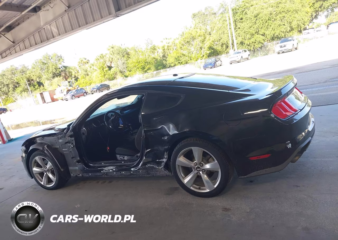 2019 Ford Mustang Ecoboost VIN:1FA6P8TH0K5142009 - 14