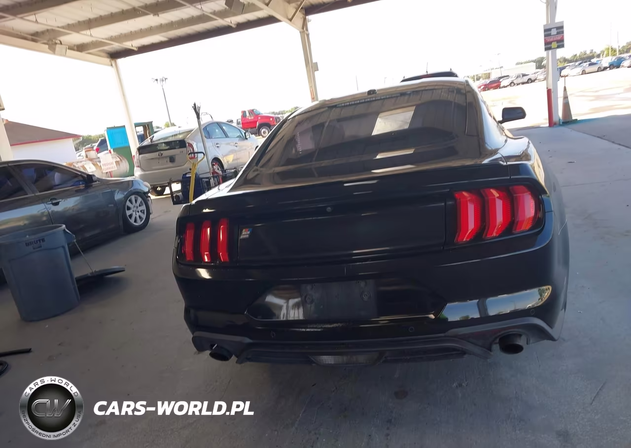 2019 Ford Mustang Ecoboost VIN:1FA6P8TH0K5142009 - 16