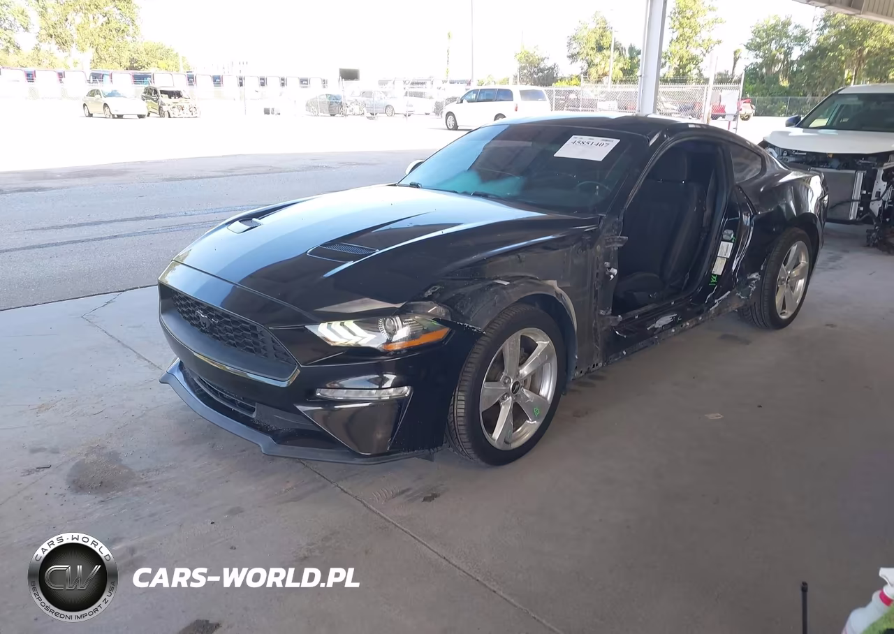 2019 Ford Mustang Ecoboost VIN:1FA6P8TH0K5142009 - 2