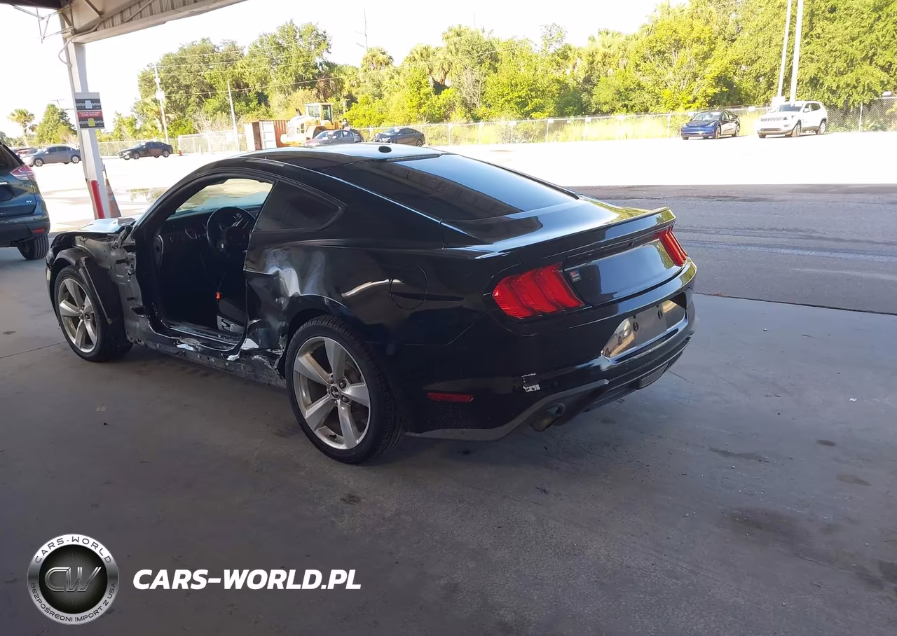 2019 Ford Mustang Ecoboost VIN:1FA6P8TH0K5142009 - 3