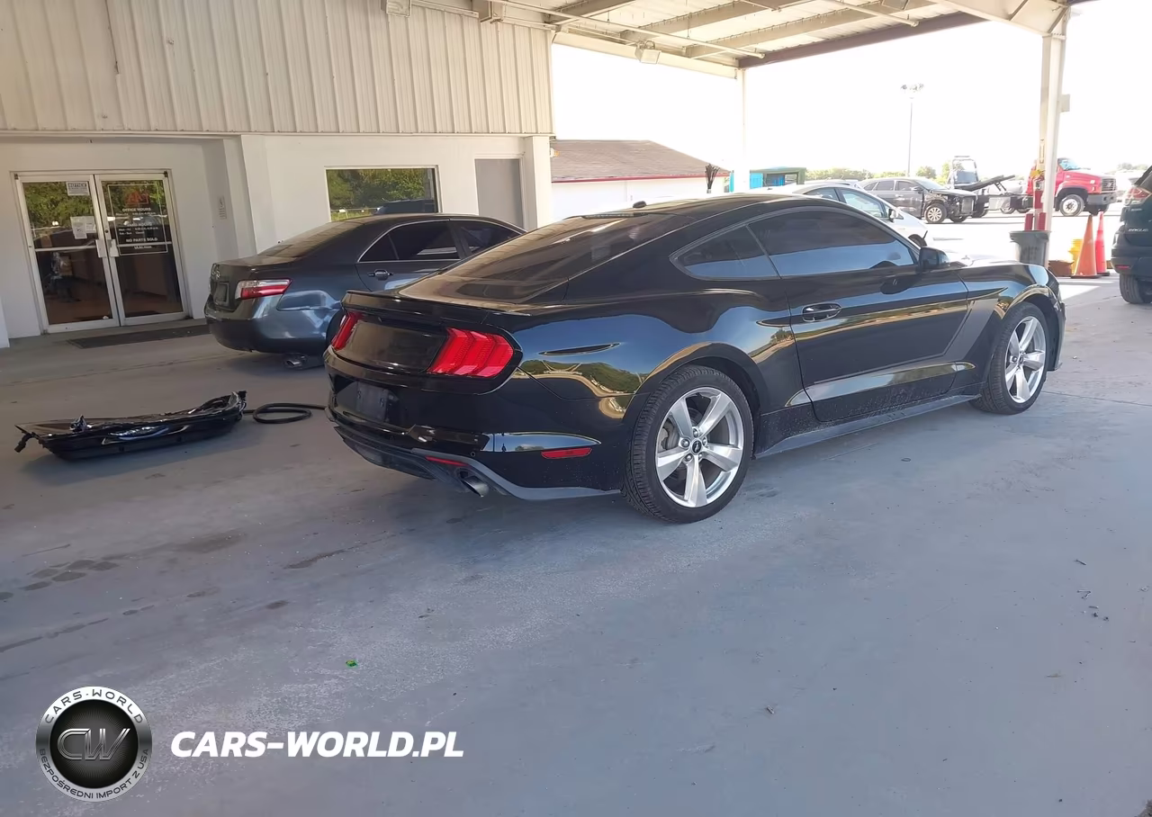 2019 Ford Mustang Ecoboost VIN:1FA6P8TH0K5142009 - 4