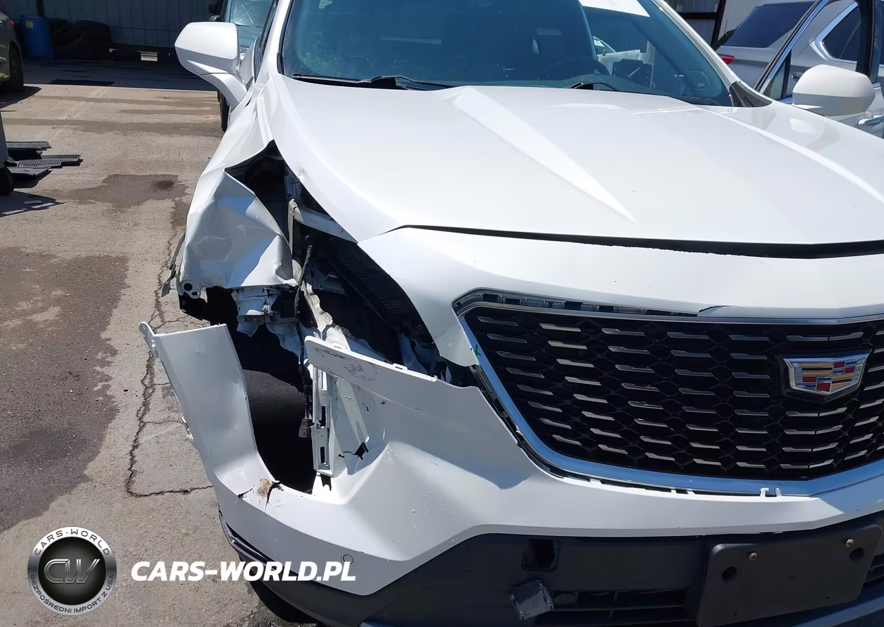 2019 Cadillac Xt4 Premium Luxury VIN:1GYFZDR47KF103858 - 6