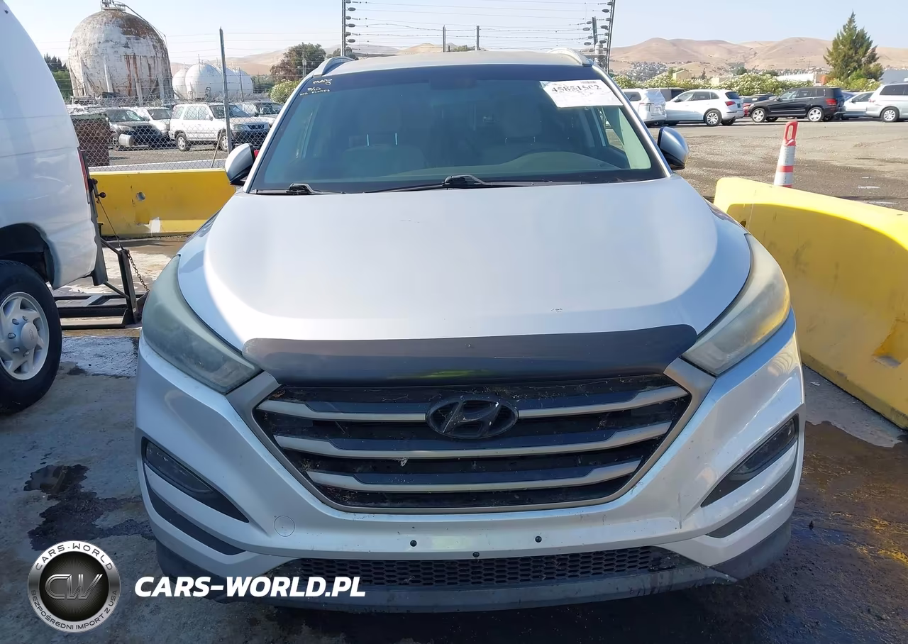 2016 Hyundai Tucson Se VIN:KM8J33A45GU174143 - 12