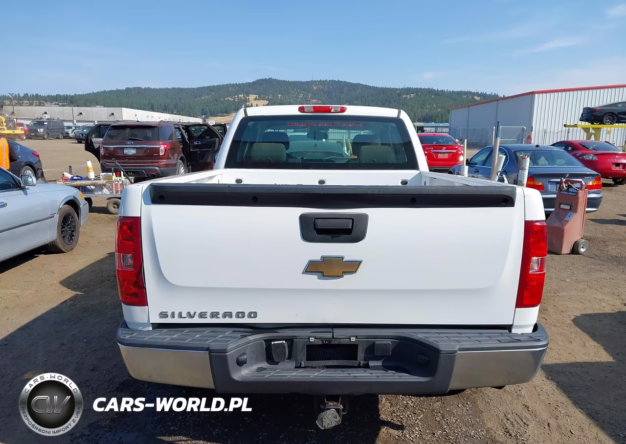 2007 Chevrolet Silverado 1500 Work Truck VIN:1GCEC19C47Z536794 - 17