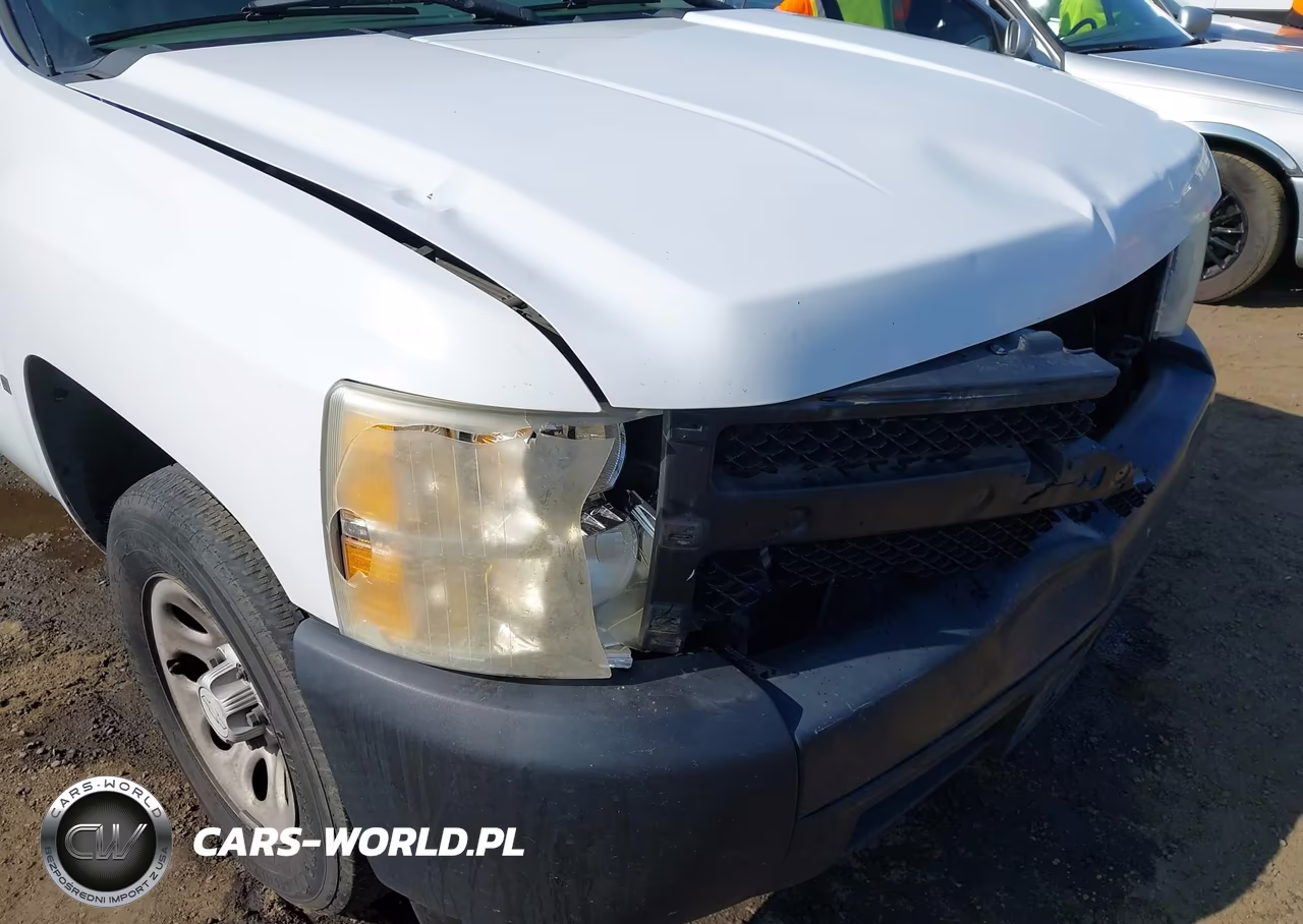 2007 Chevrolet Silverado 1500 Work Truck VIN:1GCEC19C47Z536794 - 18