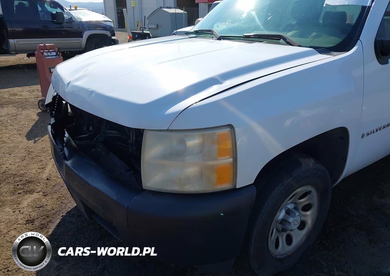 2007 Chevrolet Silverado 1500 Work Truck VIN:1GCEC19C47Z536794 - 19