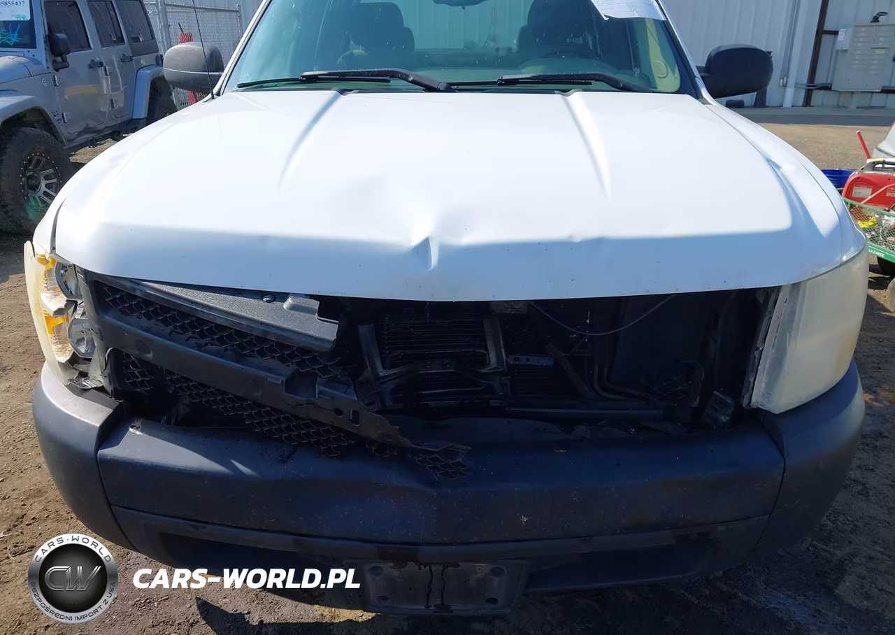 2007 Chevrolet Silverado 1500 Work Truck VIN:1GCEC19C47Z536794 - 6