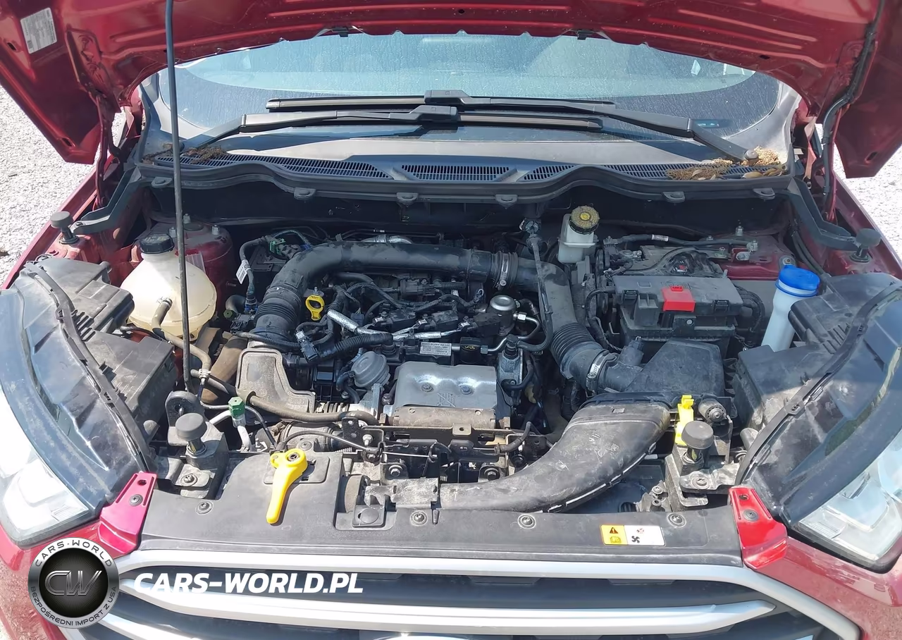 2018 Ford Ecosport Se VIN:MAJ3P1TEXJC222766 - 10