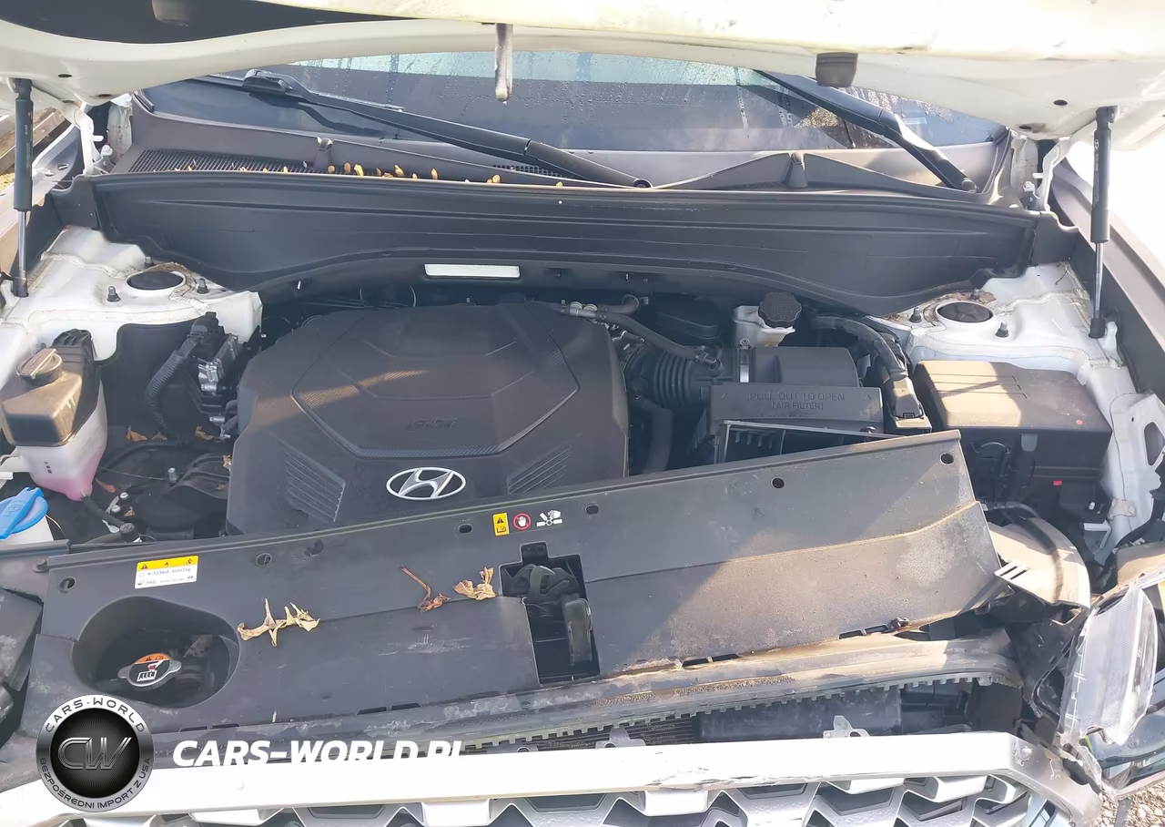 2021 Hyundai Palisade Sel VIN:KM8R3DHE4MU223609 - 10