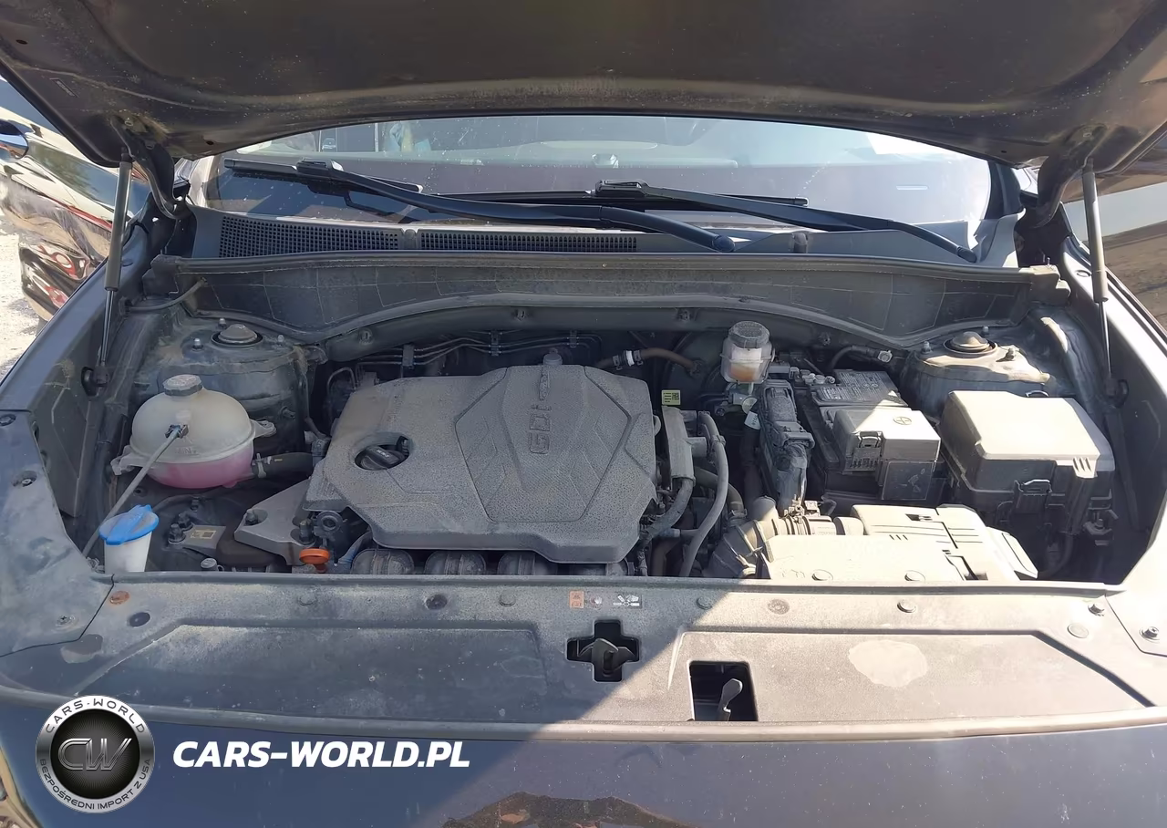 2023 Hyundai Santa Fe Sel VIN:5NMS2DAJXPH482407 - 10