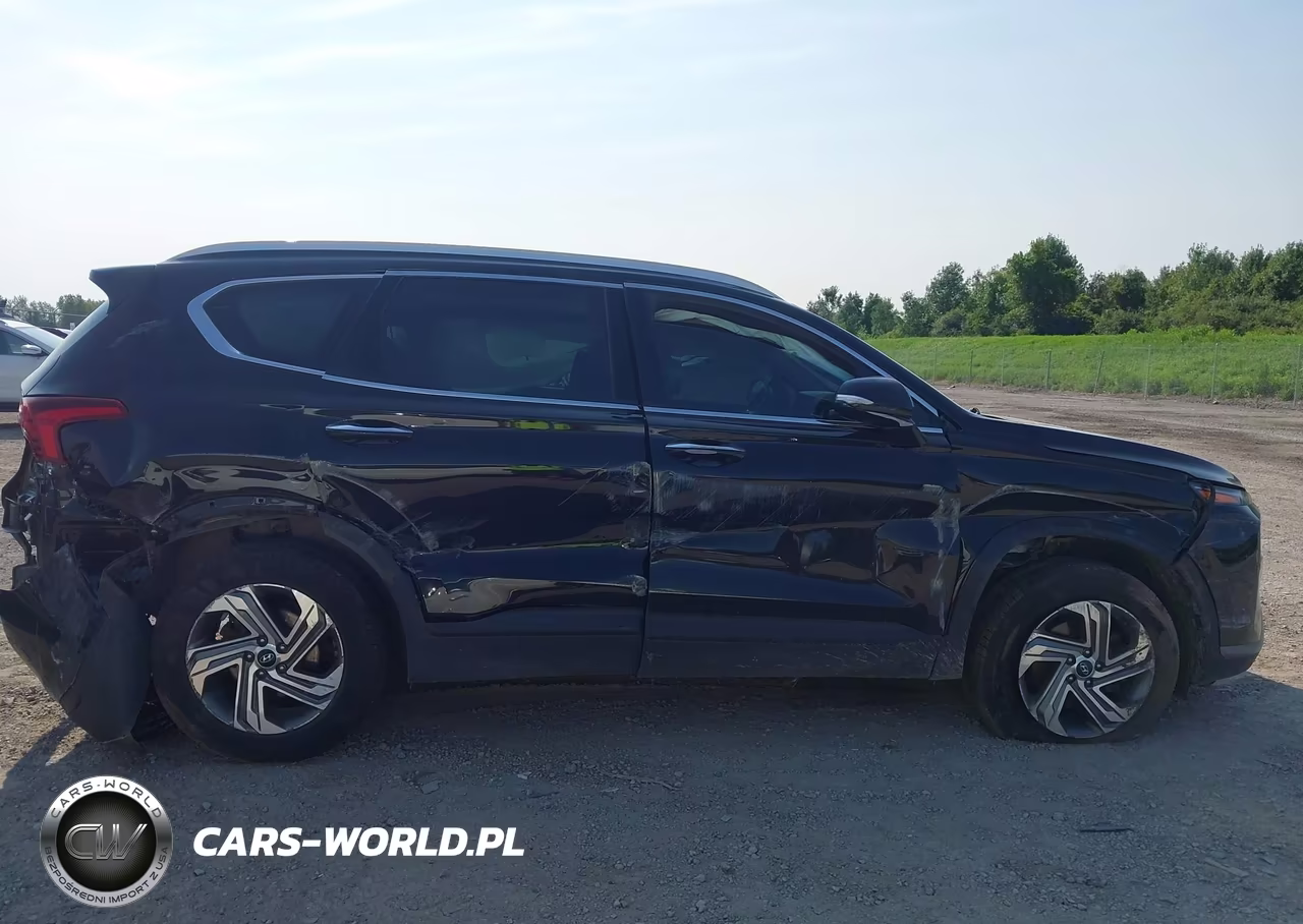 2023 Hyundai Santa Fe Sel VIN:5NMS2DAJXPH482407 - 14
