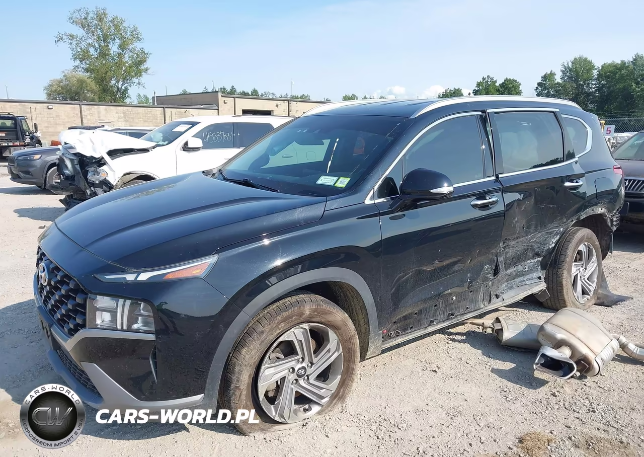 2023 Hyundai Santa Fe Sel VIN:5NMS2DAJXPH482407 - 2