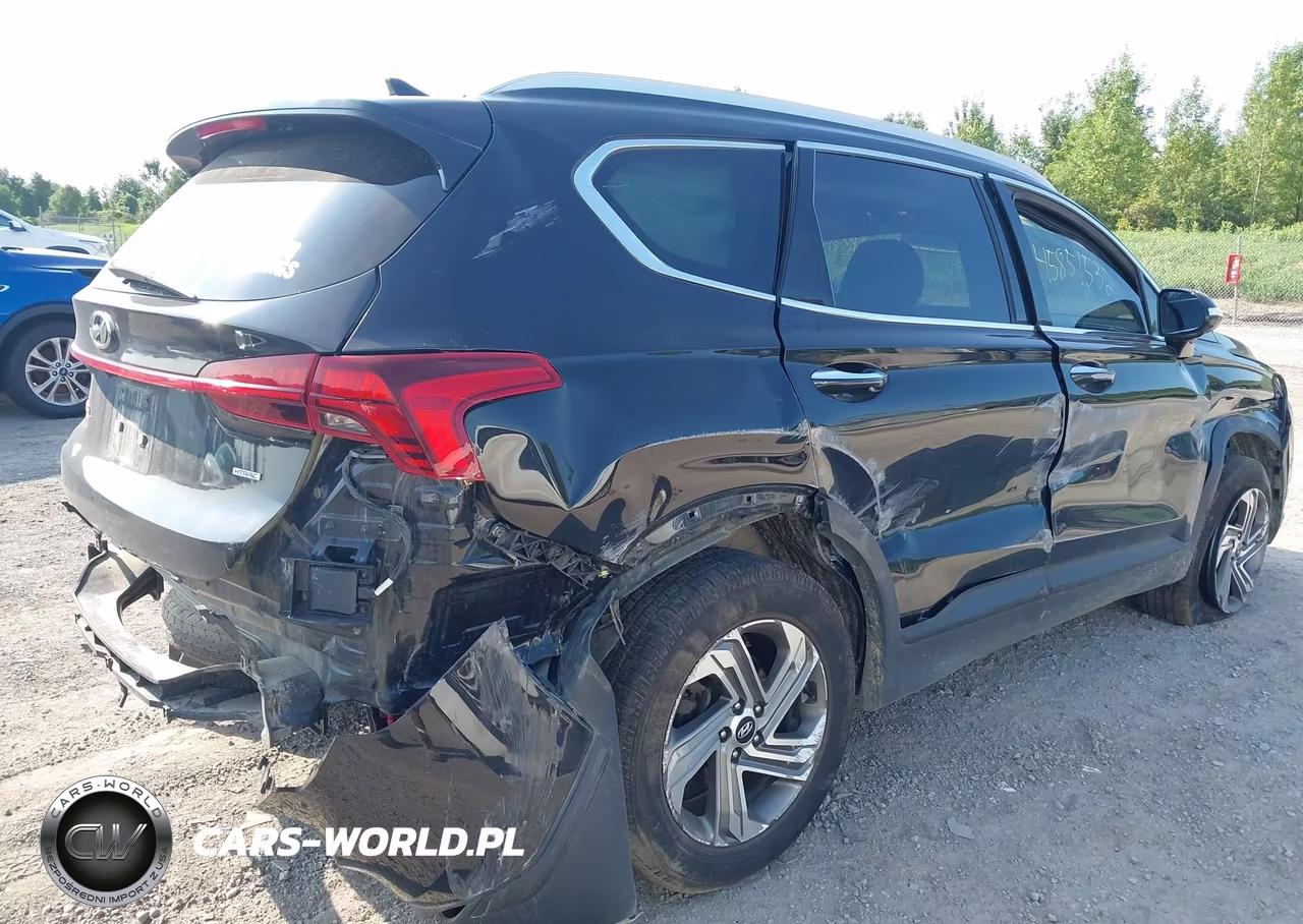 2023 Hyundai Santa Fe Sel VIN:5NMS2DAJXPH482407 - 4