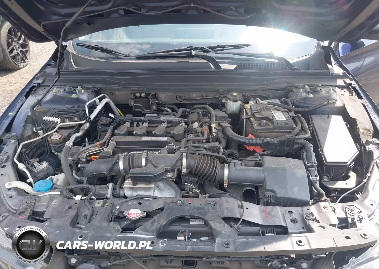 2019 Honda Accord Ex-L VIN:1HGCV1F53KA013105 - 10