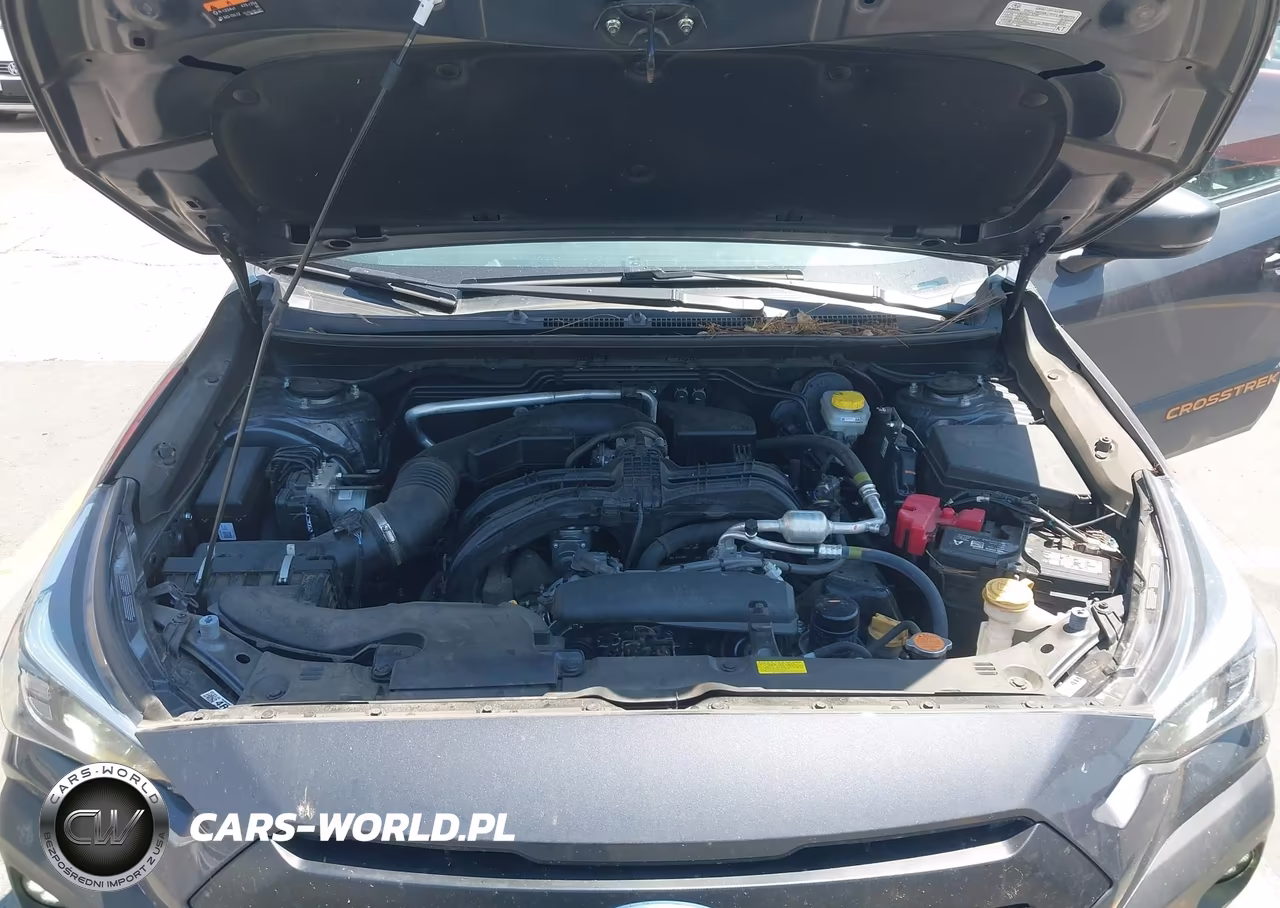 2025 Subaru Crosstrek Wilderness VIN:4S4GUHU67S3733515 - 10