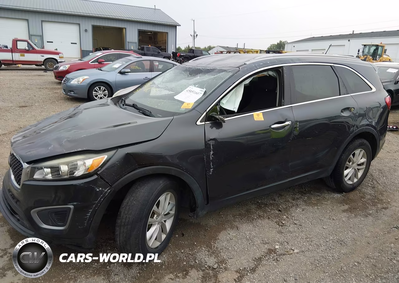 2017 Kia Sorento 3.3L Lx VIN:5XYPG4A52HG288346 - 13