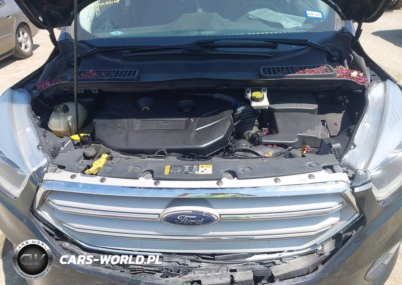2019 Ford Escape Titanium VIN:1FMCU0J96KUA32022 - 10