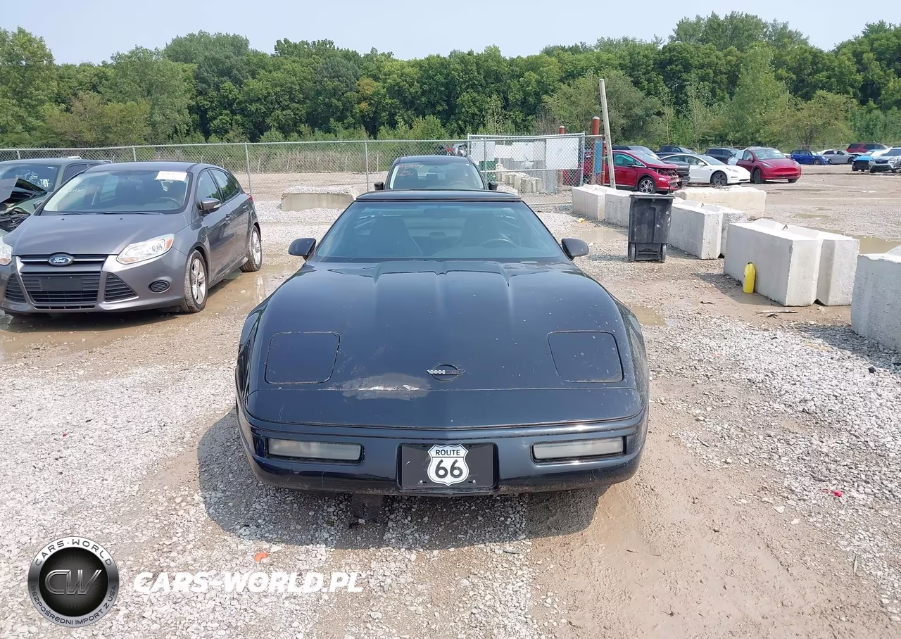 1996 Chevrolet Corvette VIN:1G1YY22P4T5112933 - 12