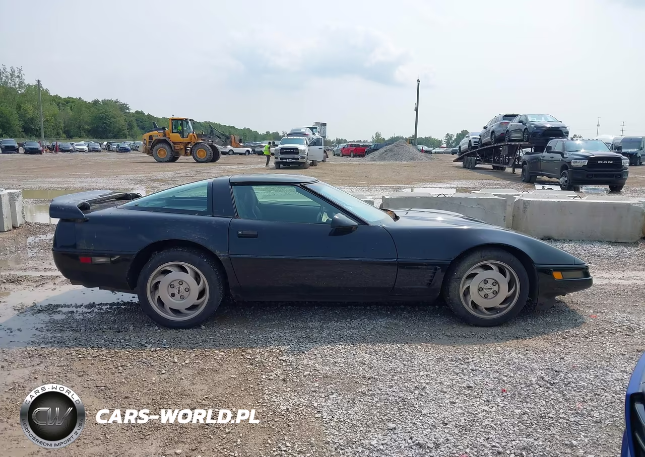 1996 Chevrolet Corvette VIN:1G1YY22P4T5112933 - 13