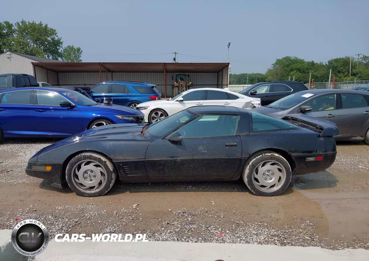 1996 Chevrolet Corvette VIN:1G1YY22P4T5112933 - 14