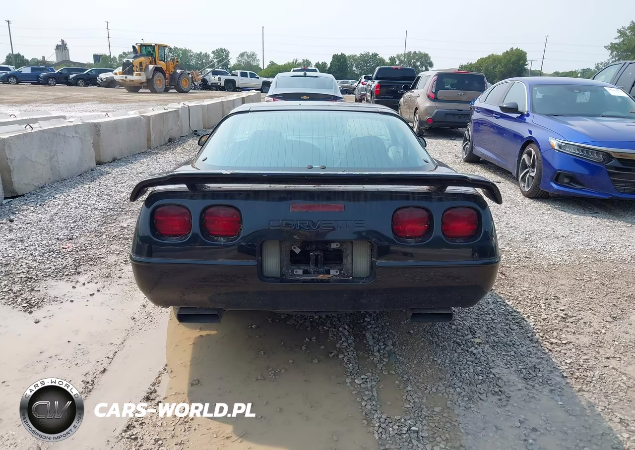 1996 Chevrolet Corvette VIN:1G1YY22P4T5112933 - 16