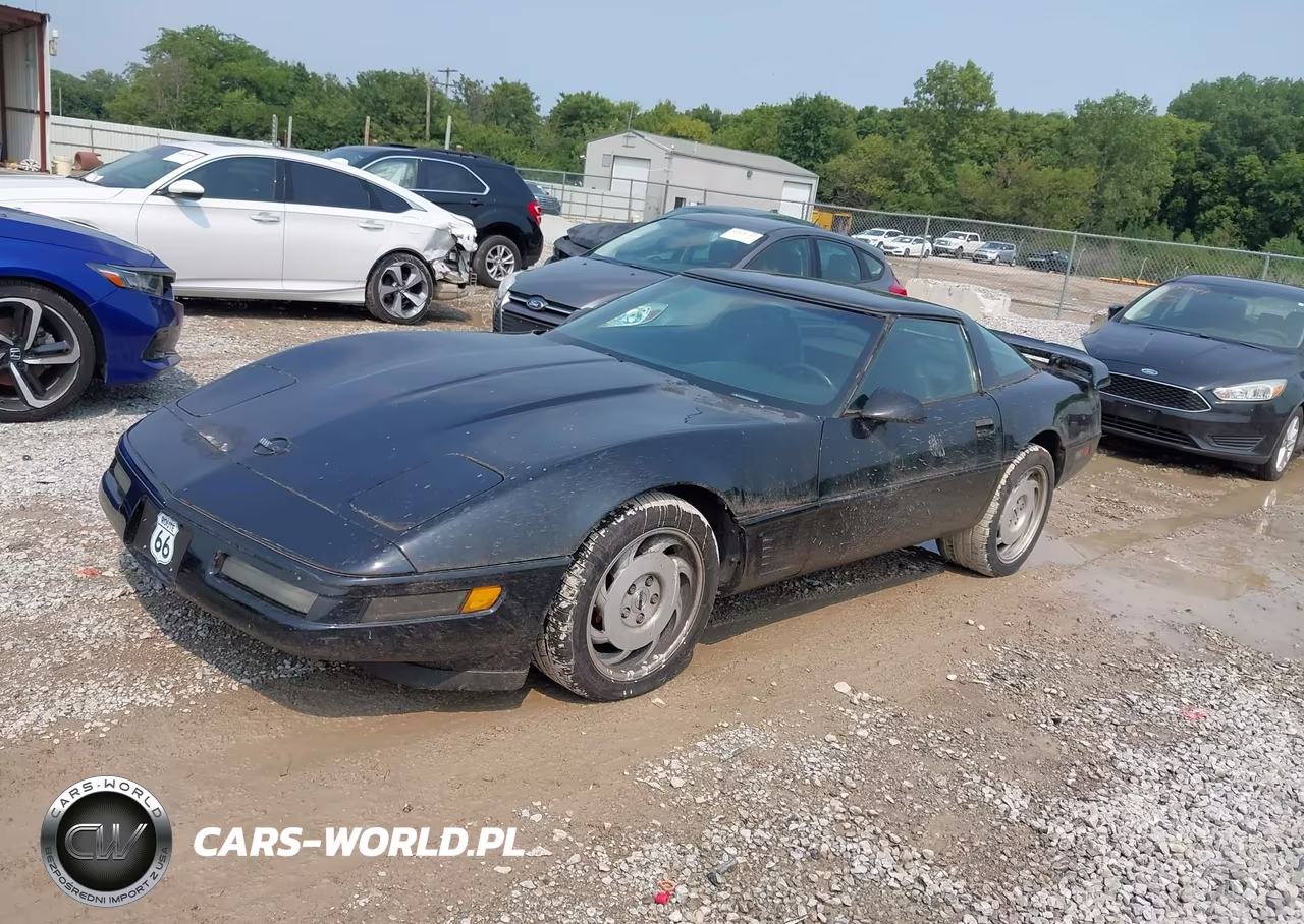 1996 Chevrolet Corvette VIN:1G1YY22P4T5112933 - 2
