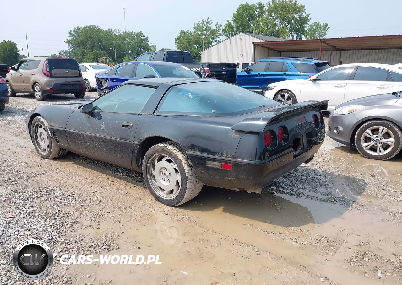 1996 Chevrolet Corvette VIN:1G1YY22P4T5112933 - 3