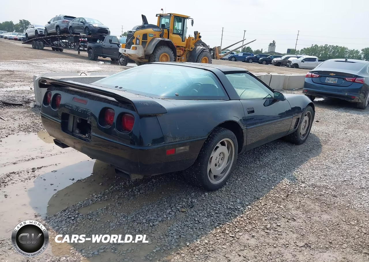 1996 Chevrolet Corvette VIN:1G1YY22P4T5112933 - 4
