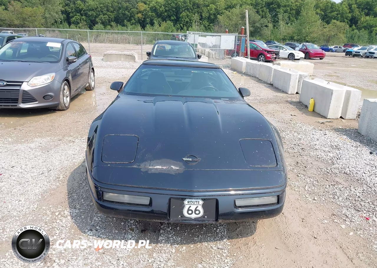 1996 Chevrolet Corvette VIN:1G1YY22P4T5112933 - 6