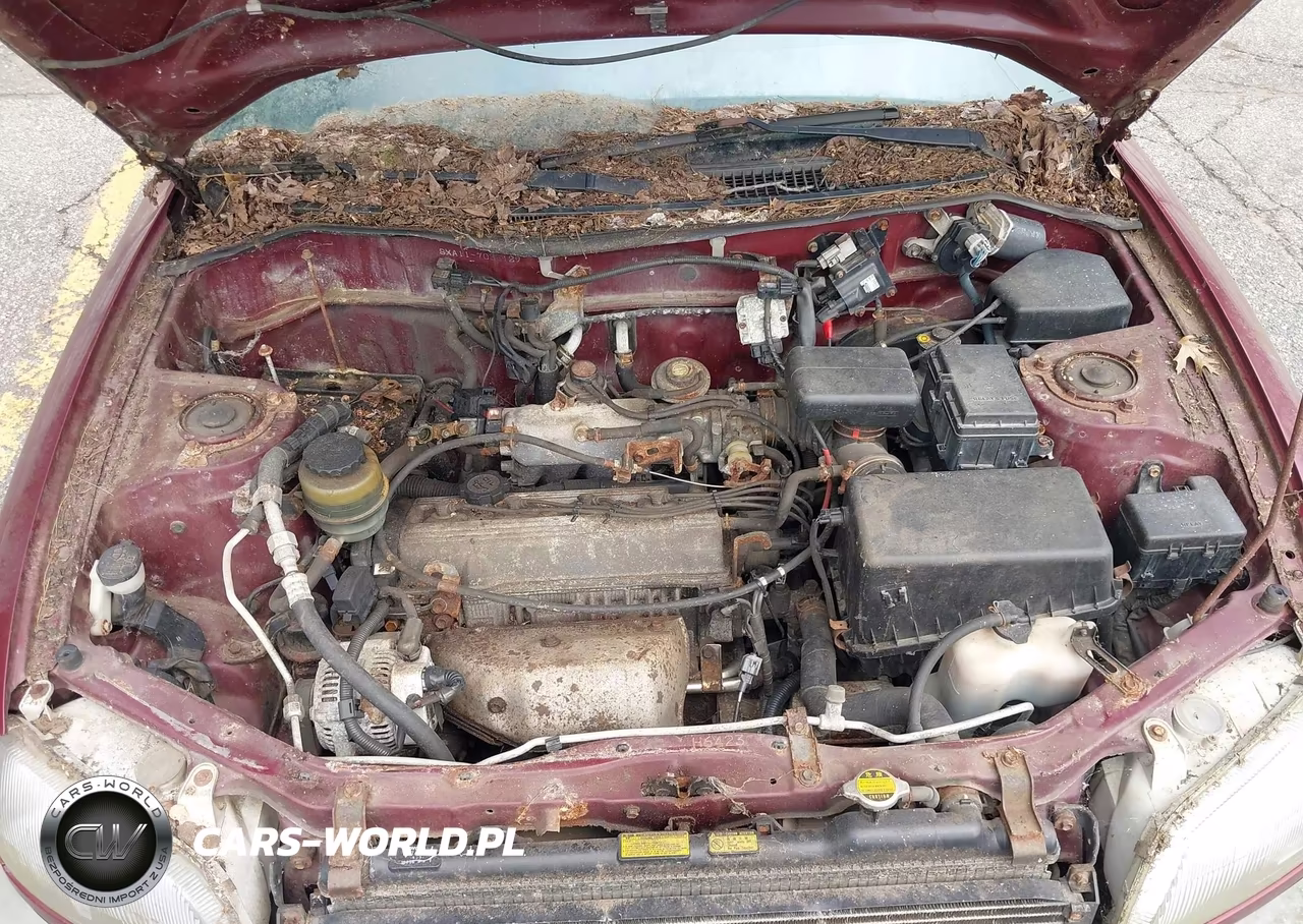 1997 Toyota Rav4 VIN:JT3HP10VXV7035129 - 10
