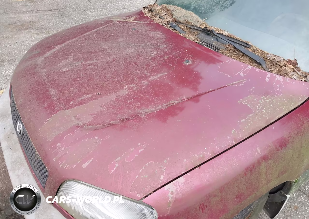 1997 Toyota Rav4 VIN:JT3HP10VXV7035129 - 13