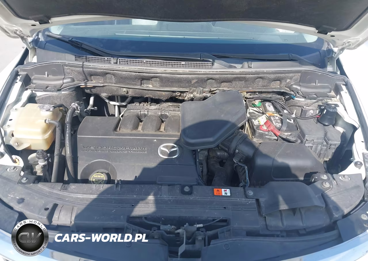 2009 Mazda Cx-9 Grand Touring VIN:JM3TB28V990177654 - 10