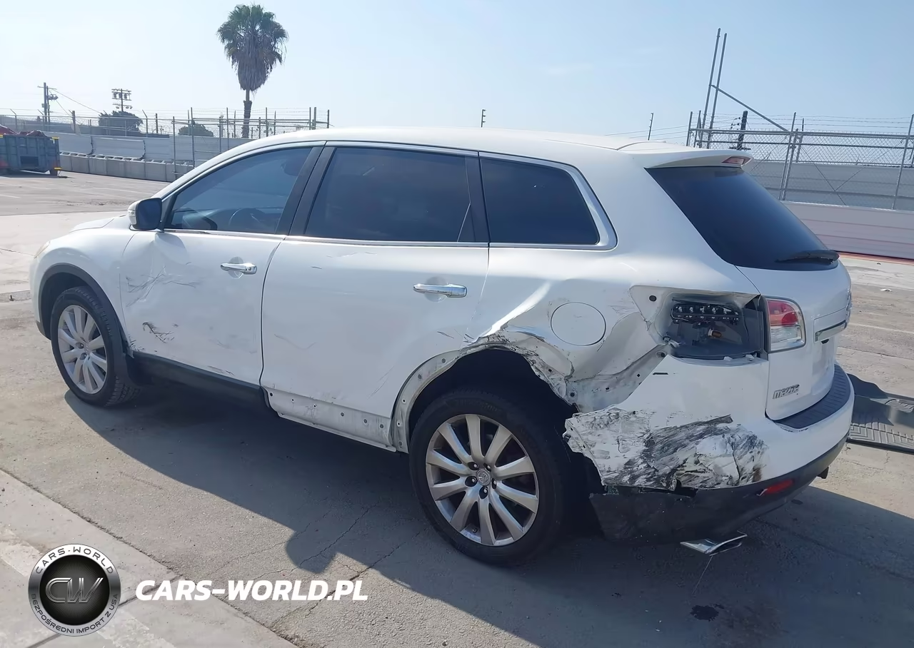 2009 Mazda Cx-9 Grand Touring VIN:JM3TB28V990177654 - 3