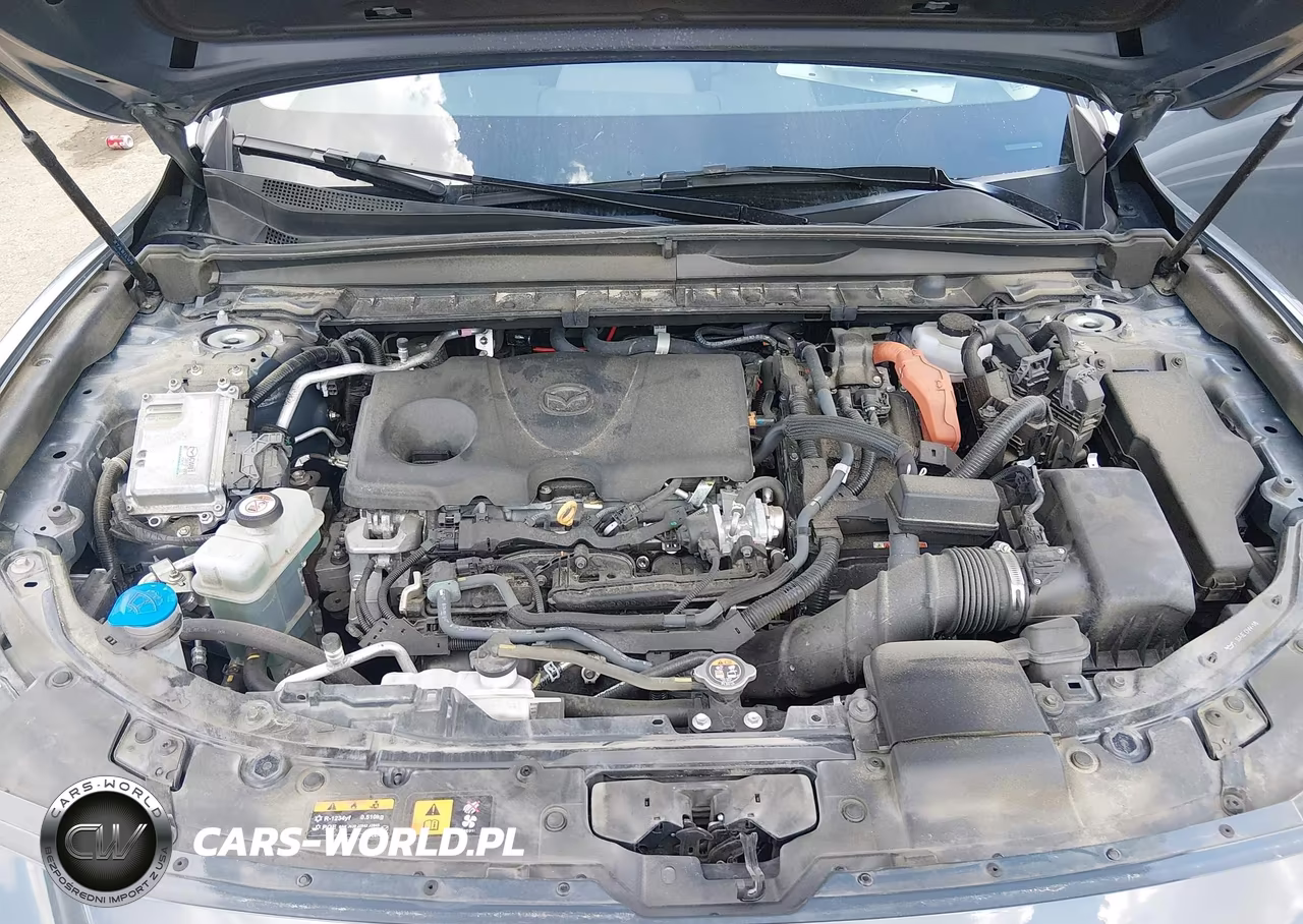 2025 Mazda Cx-50 Hybrid Premium Plus Package VIN:7MMVAAEW7SN101810 - 10