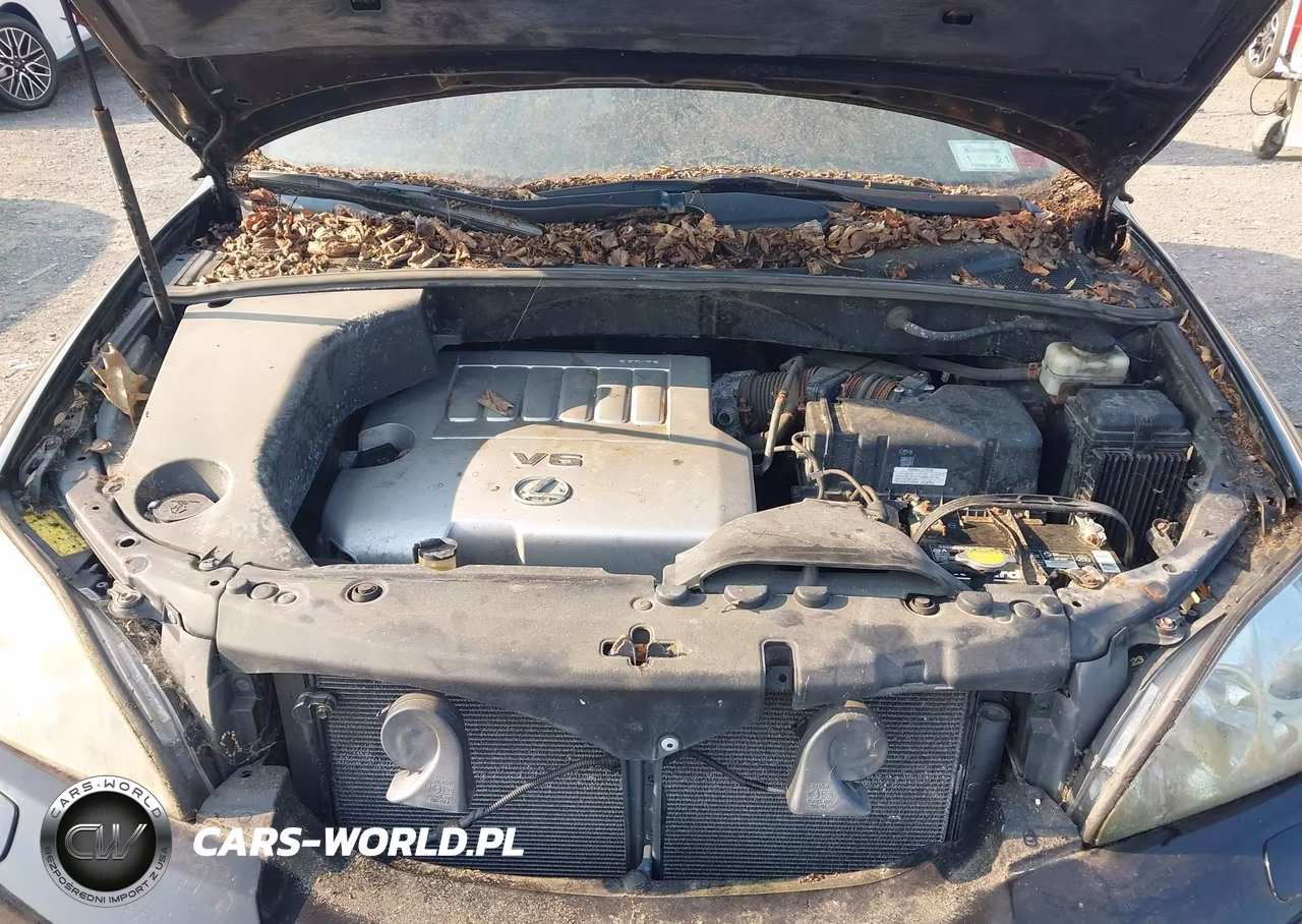 2009 Lexus Rx 350 VIN:2T2HK31U09C103305 - 10
