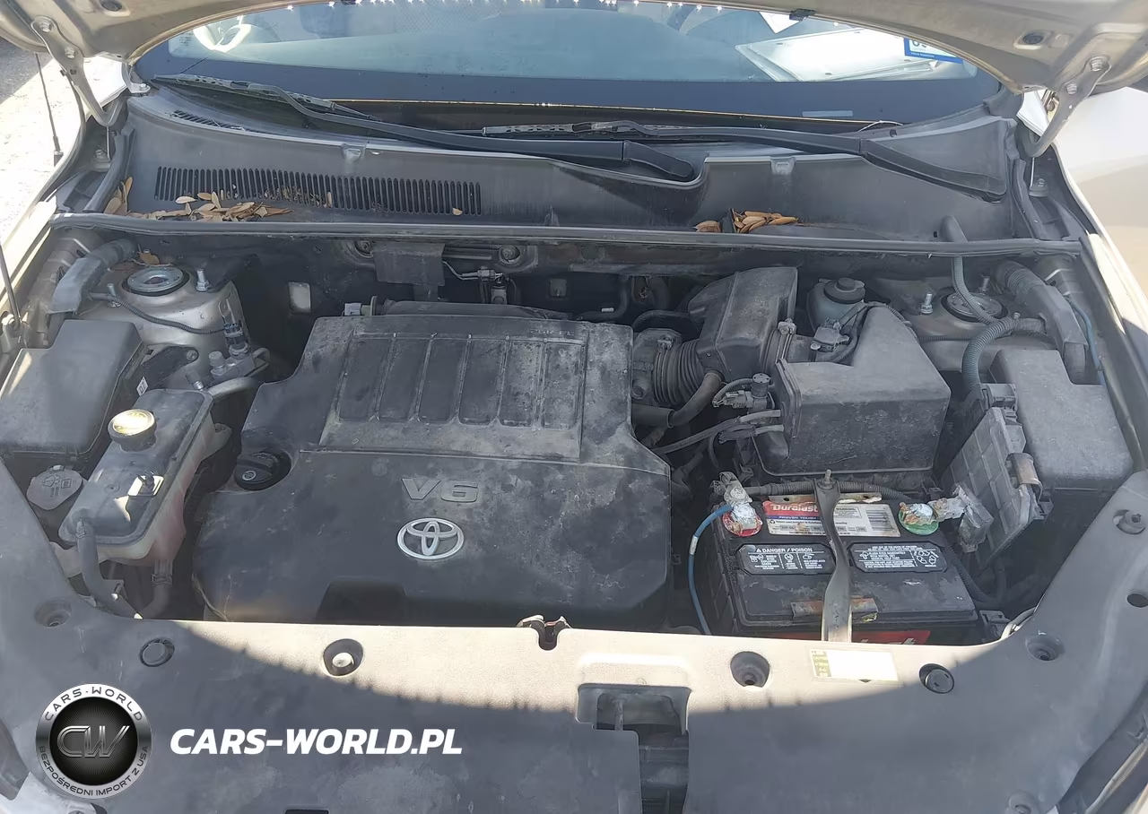 2006 Toyota Rav4 Base V6 VIN:JTMBK33V565004133 - 10