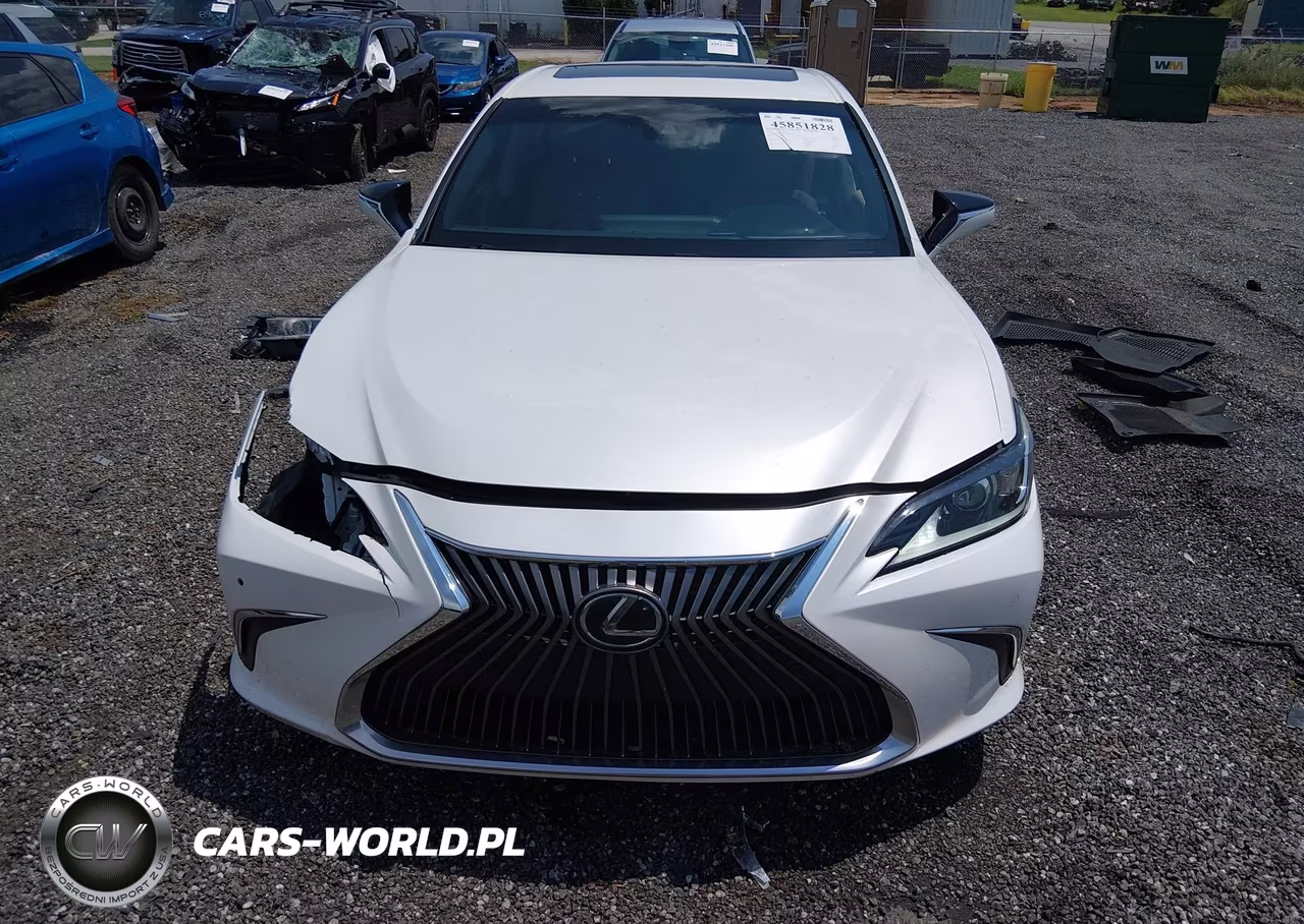 2020 Lexus Es 350 VIN:58ADZ1B18LU067563 - 12